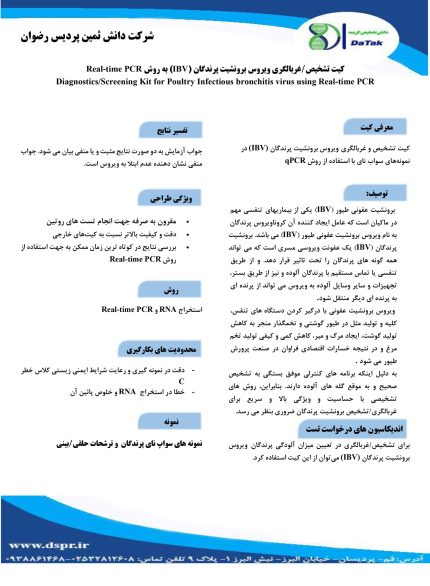 برونشیت