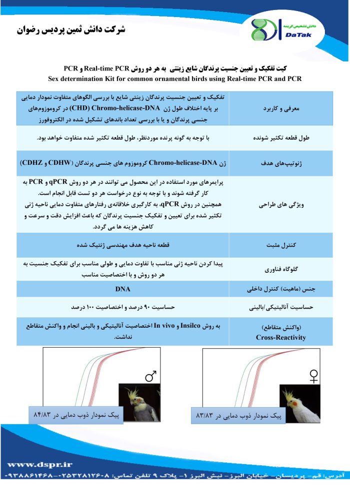 تعیین جنسیت - Image 2