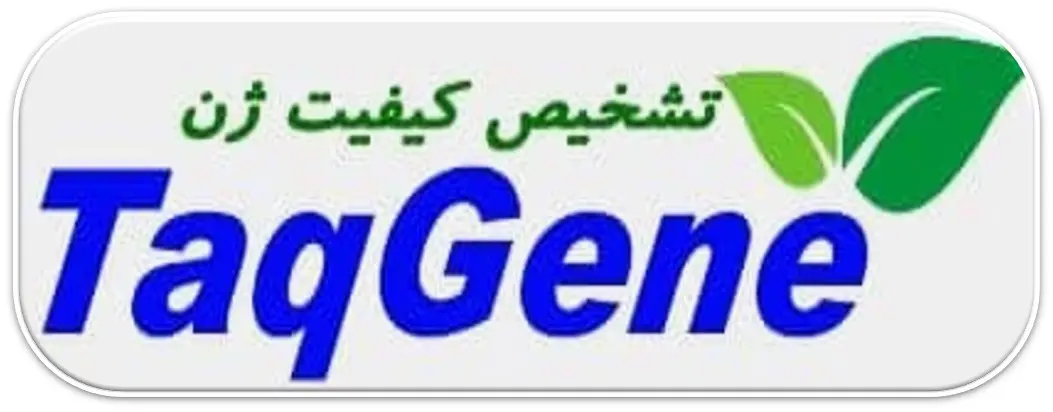 شرکت دانش ثمین پردیس رضوان