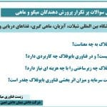 تحلیل سوالات پرتکرار پرورش دهندگان میگو و ماهی