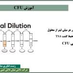آموزش CFU