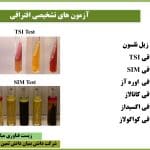 آزمون های تشخیصی افتراقی