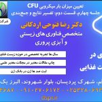 تفسیر نتایج و جمع‌بندی
