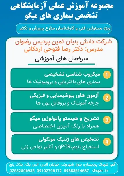 تشخیص بیماری های میگو