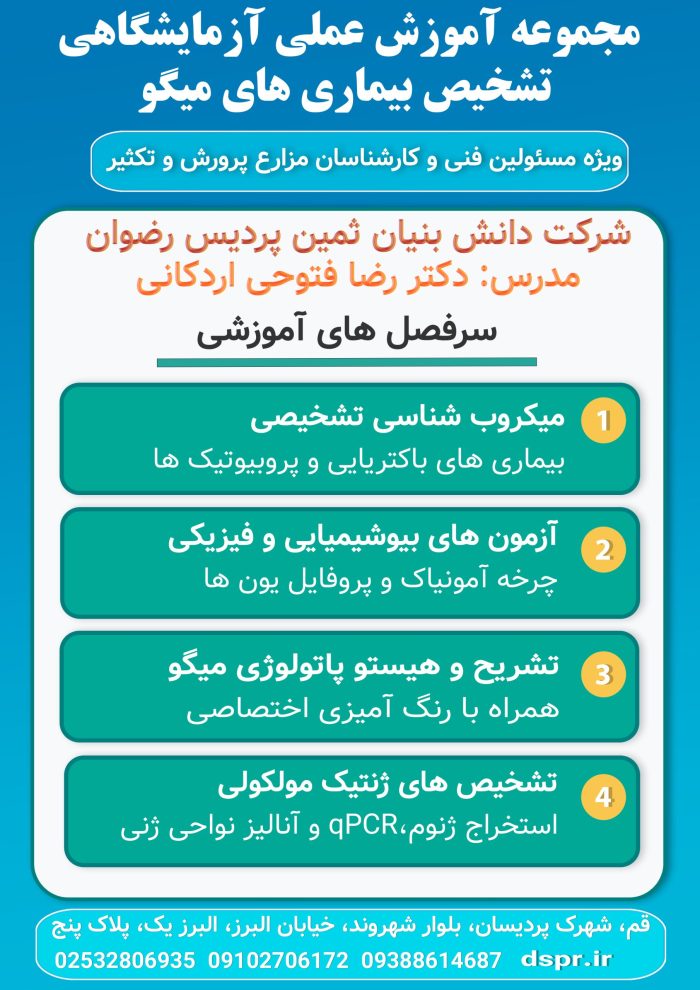 تشخیص بیماری های میگو