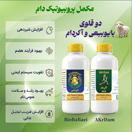 آکردام و بایوببعی